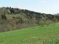wiosna 2008_11